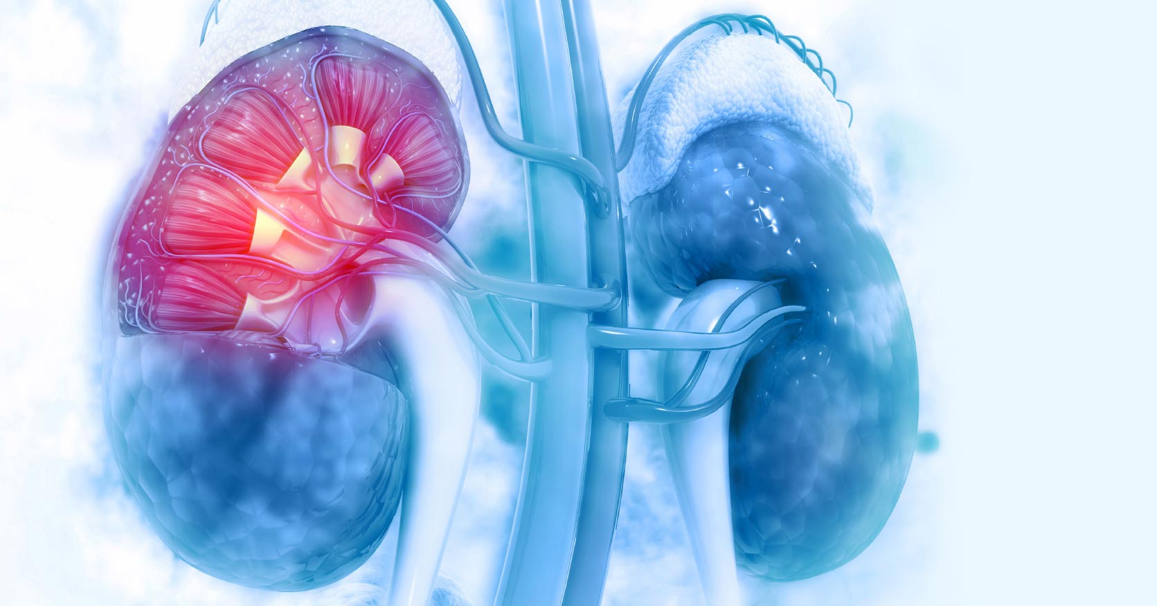 Certificate Course in Diabetic Complications